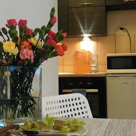 Apartamenty Spodek カトヴィツェ エクステリア 写真