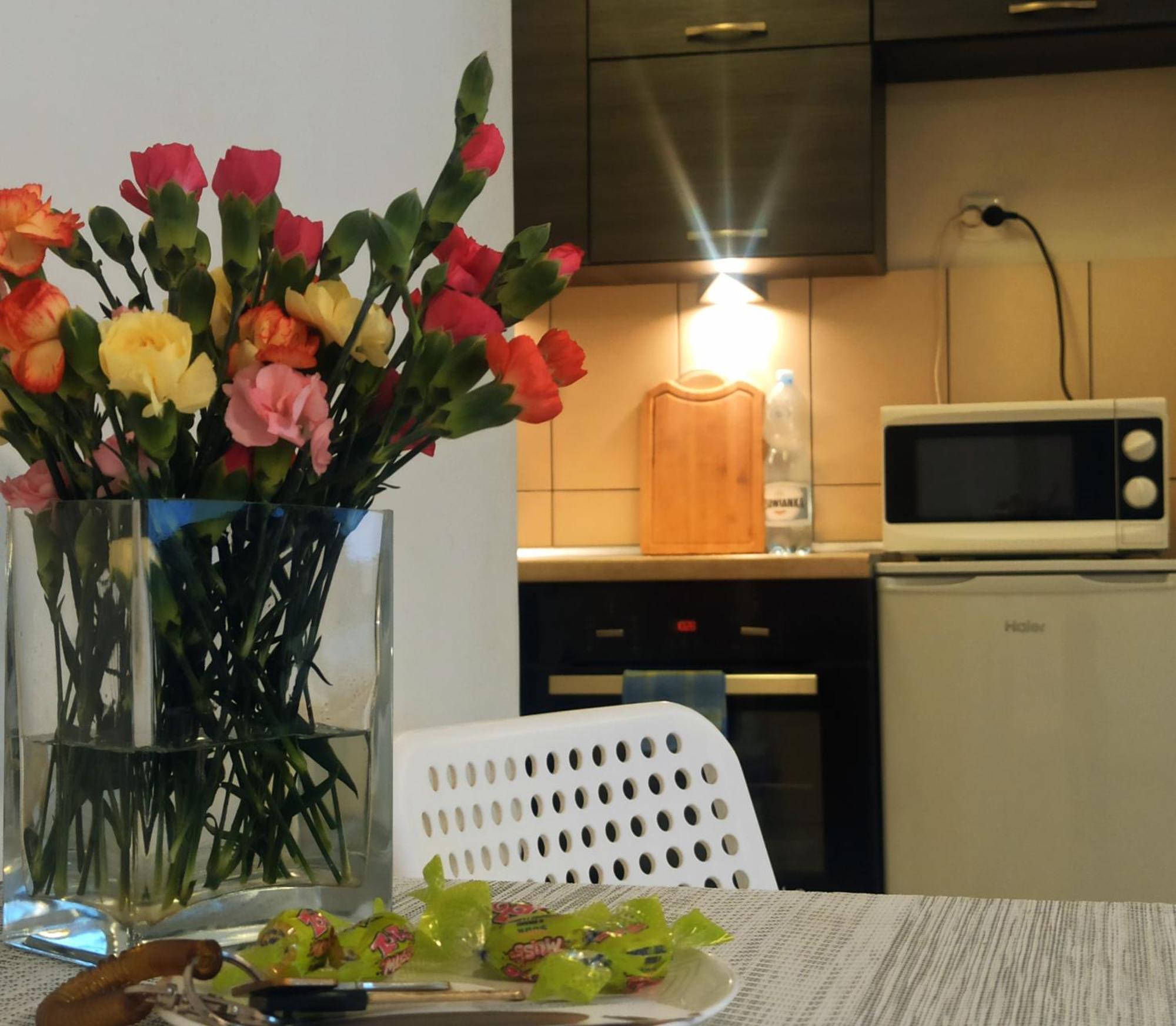 Apartamenty Spodek カトヴィツェ エクステリア 写真